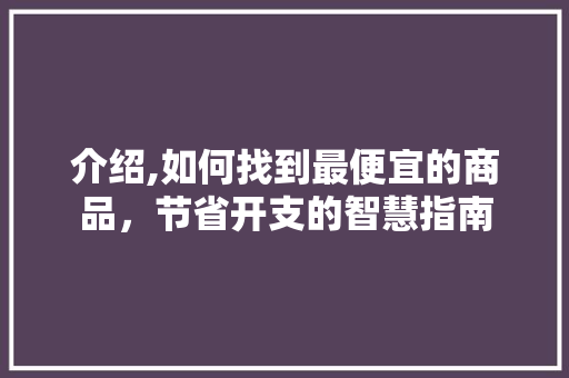 介绍,如何找到最便宜的商品，节省开支的智慧指南