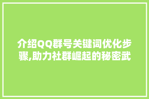 介绍QQ群号关键词优化步骤,助力社群崛起的秘密武器