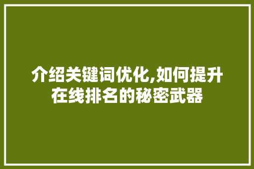 介绍关键词优化,如何提升在线排名的秘密武器