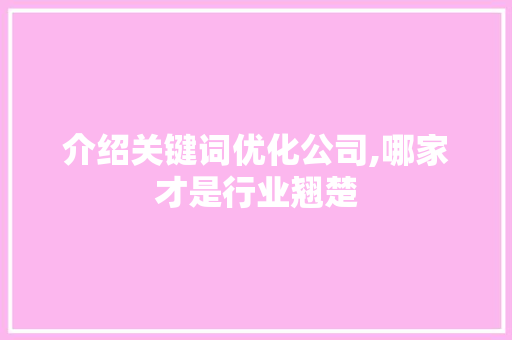 介绍关键词优化公司,哪家才是行业翘楚