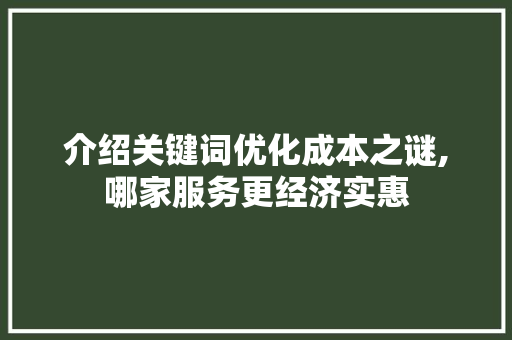 介绍关键词优化成本之谜,哪家服务更经济实惠