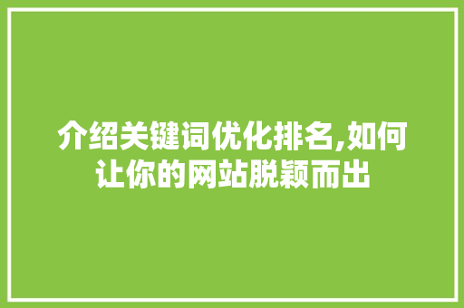 介绍关键词优化排名,如何让你的网站脱颖而出
