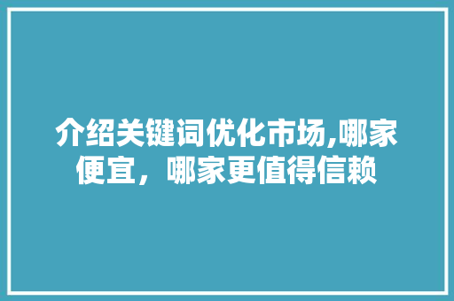 介绍关键词优化市场,哪家便宜，哪家更值得信赖