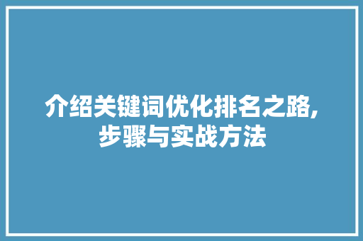 介绍关键词优化排名之路,步骤与实战方法 MySQL