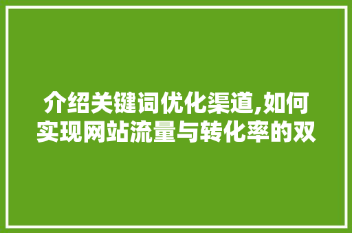 介绍关键词优化渠道,如何实现网站流量与转化率的双提升