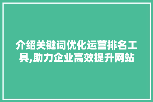介绍关键词优化运营排名工具,助力企业高效提升网站流量与品牌知名度