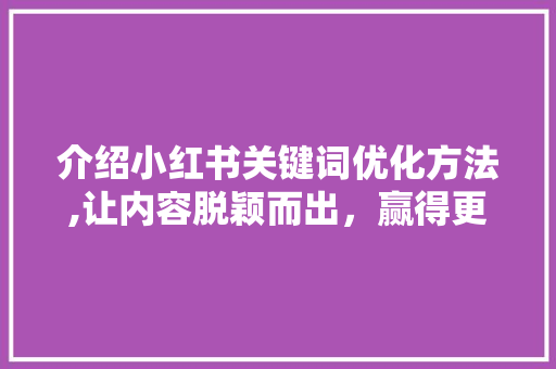 介绍小红书关键词优化方法,让内容脱颖而出，赢得更多关注