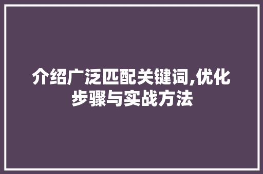 介绍广泛匹配关键词,优化步骤与实战方法
