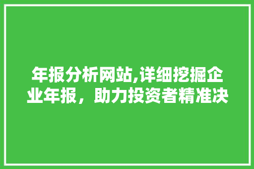 年报分析网站,详细挖掘企业年报，助力投资者精准决策 网站建设