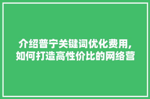 介绍普宁关键词优化费用,如何打造高性价比的网络营销步骤
