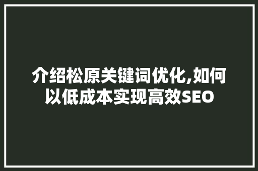 介绍松原关键词优化,如何以低成本实现高效SEO