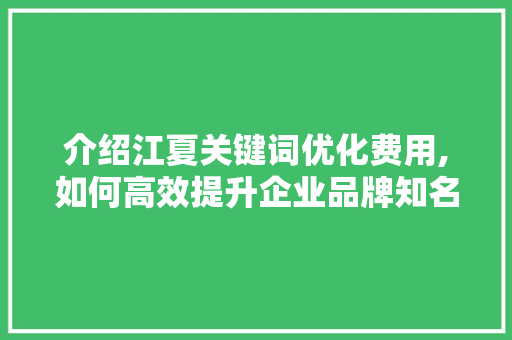 介绍江夏关键词优化费用,如何高效提升企业品牌知名度