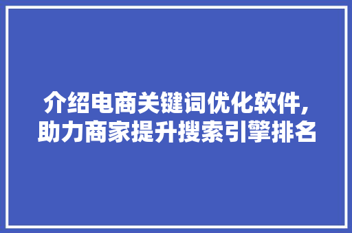 介绍电商关键词优化软件,助力商家提升搜索引擎排名的神秘利器