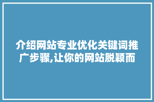介绍网站专业优化关键词推广步骤,让你的网站脱颖而出