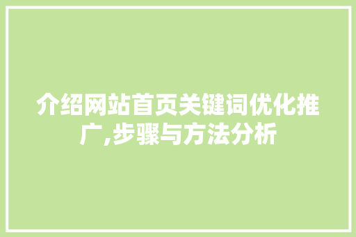 介绍网站首页关键词优化推广,步骤与方法分析