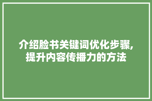 介绍脸书关键词优化步骤,提升内容传播力的方法
