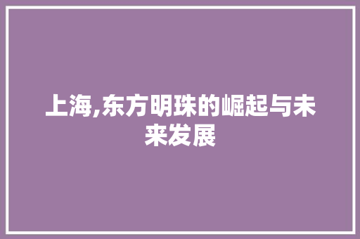 上海,东方明珠的崛起与未来发展
