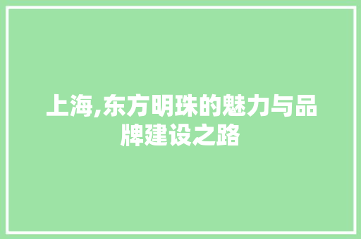 上海,东方明珠的魅力与品牌建设之路