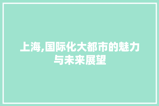 上海,国际化大都市的魅力与未来展望
