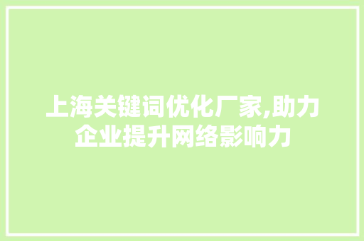 上海关键词优化厂家,助力企业提升网络影响力