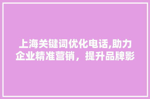 上海关键词优化电话,助力企业精准营销，提升品牌影响力
