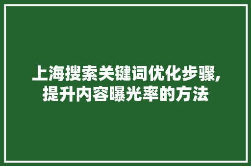 上海搜索关键词优化步骤,提升内容曝光率的方法