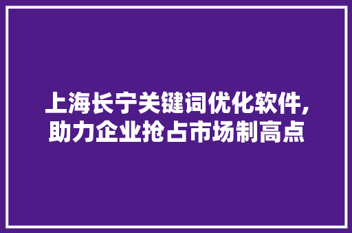 上海长宁关键词优化软件,助力企业抢占市场制高点