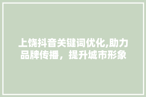 上饶抖音关键词优化,助力品牌传播，提升城市形象