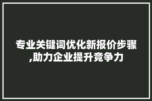 专业关键词优化新报价步骤,助力企业提升竞争力