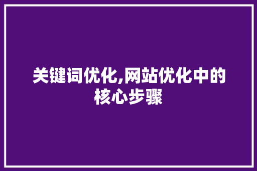 关键词优化,网站优化中的核心步骤