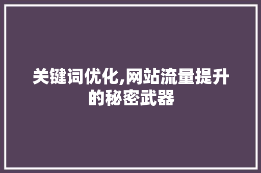 关键词优化,网站流量提升的秘密武器