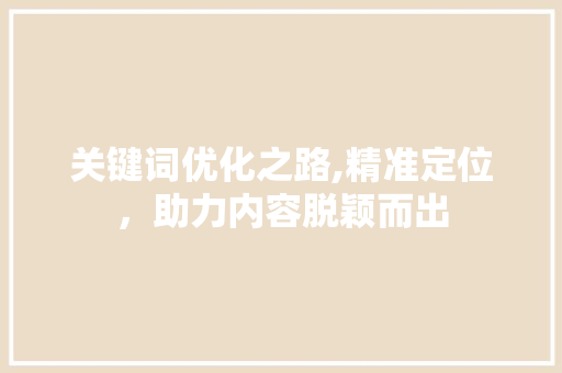 关键词优化之路,精准定位，助力内容脱颖而出