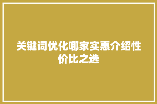 关键词优化哪家实惠介绍性价比之选