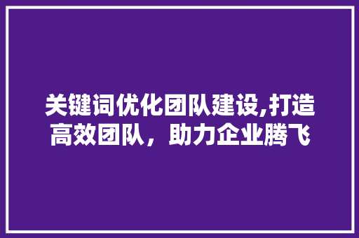 关键词优化团队建设,打造高效团队，助力企业腾飞
