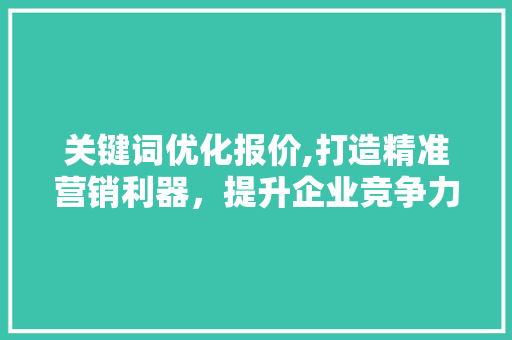 关键词优化报价,打造精准营销利器，提升企业竞争力