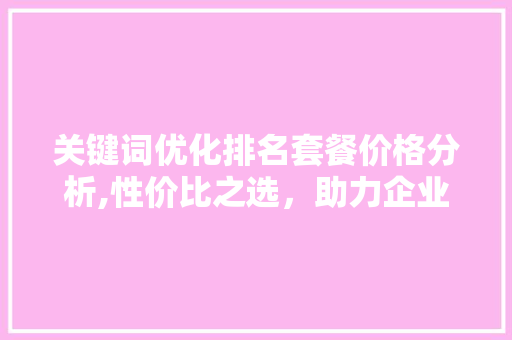关键词优化排名套餐价格分析,性价比之选，助力企业提升在线曝光