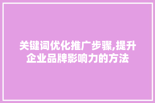 关键词优化推广步骤,提升企业品牌影响力的方法