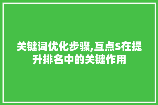 关键词优化步骤,互点S在提升排名中的关键作用
