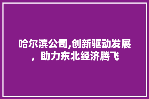 哈尔滨公司,创新驱动发展，助力东北经济腾飞 网站建设