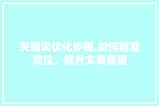 关键词优化步骤,如何精准定位，提升文章质量