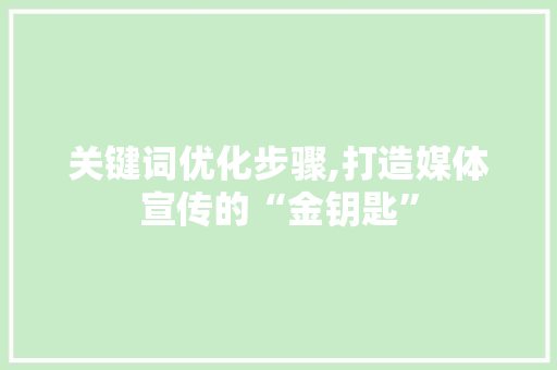 关键词优化步骤,打造媒体宣传的“金钥匙”