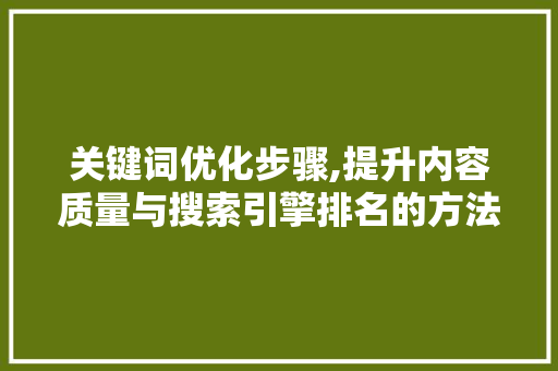 关键词优化步骤,提升内容质量与搜索引擎排名的方法