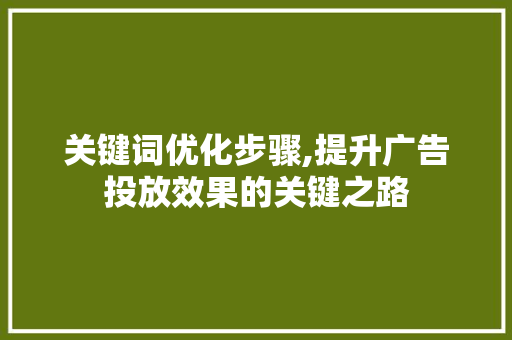 关键词优化步骤,提升广告投放效果的关键之路