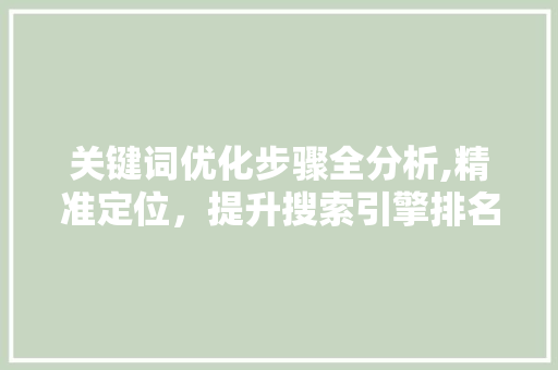 关键词优化步骤全分析,精准定位，提升搜索引擎排名