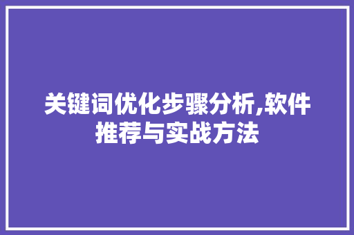 关键词优化步骤分析,软件推荐与实战方法