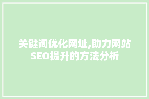 关键词优化网址,助力网站SEO提升的方法分析