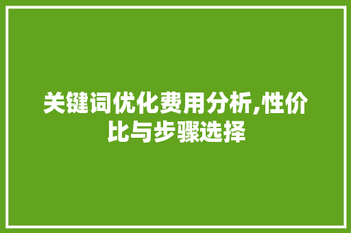 关键词优化费用分析,性价比与步骤选择