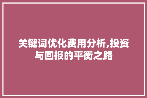 关键词优化费用分析,投资与回报的平衡之路