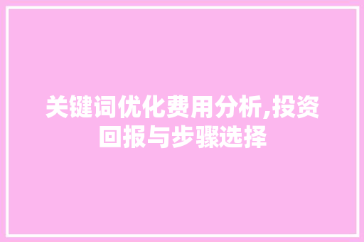 关键词优化费用分析,投资回报与步骤选择