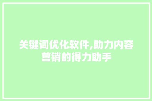 关键词优化软件,助力内容营销的得力助手